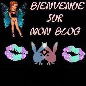 Bienvenue 